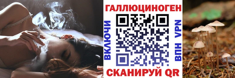 Купить  Сухой Лог  Псилоцибиновые грибы Psilocybine cubensis 